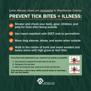 Tick Prevention and Removal Flyer - Washtenaw County