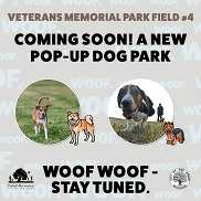 Temporary Dog Park at Veterans Memorial Park November 2024