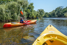 paddle