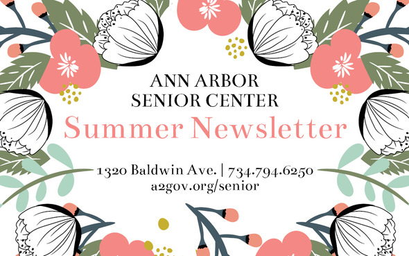 summer senior banner