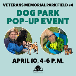 dog park