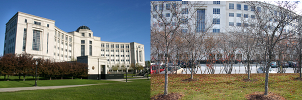 Left: Hall of Justice front, Right: Hall of Justice back