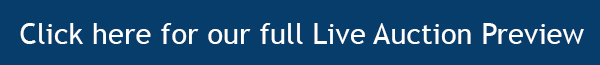 Live Auction Preview