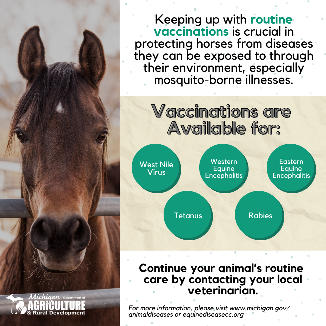 Horse Vaccination