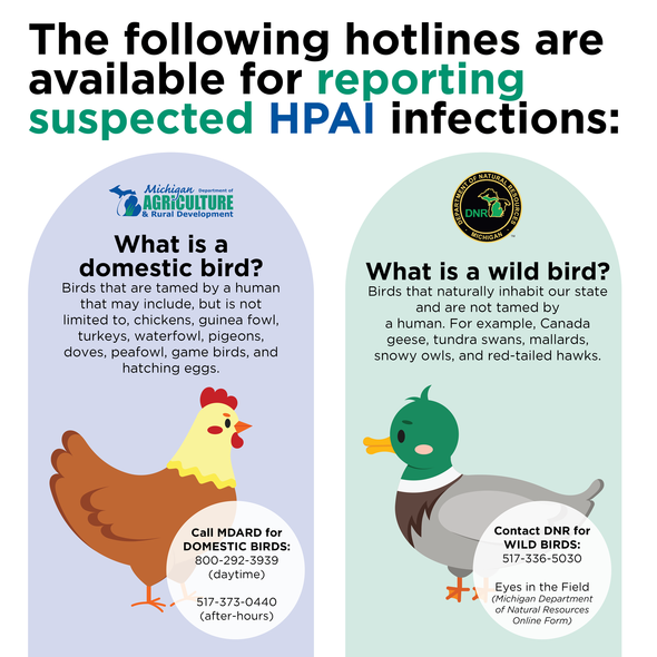 MDARD DNR Who To Call HPAI Graphic 