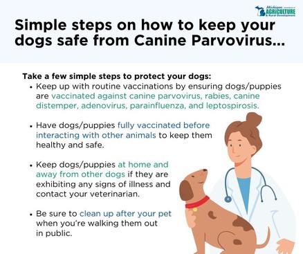 Canine Parvovirus Prevention Tips