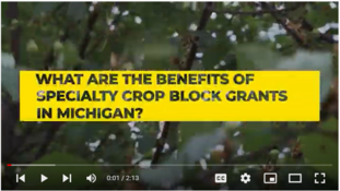 What are the Benefits of Specialty Crop Block Grants in Michigan