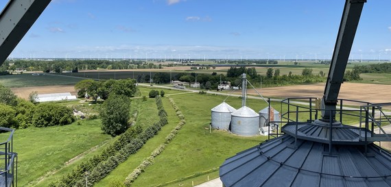 View from grain bins