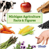 Michigan Facts and Figures Booklet Image