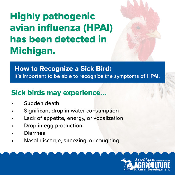 Poultry Biosecurity Graphic
