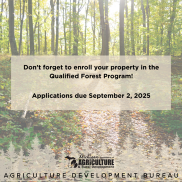 Enroll in QFP graphic