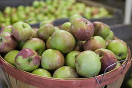 Basket of apples