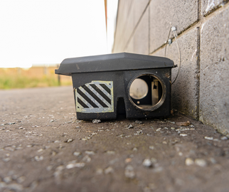 Photograph of rat trap