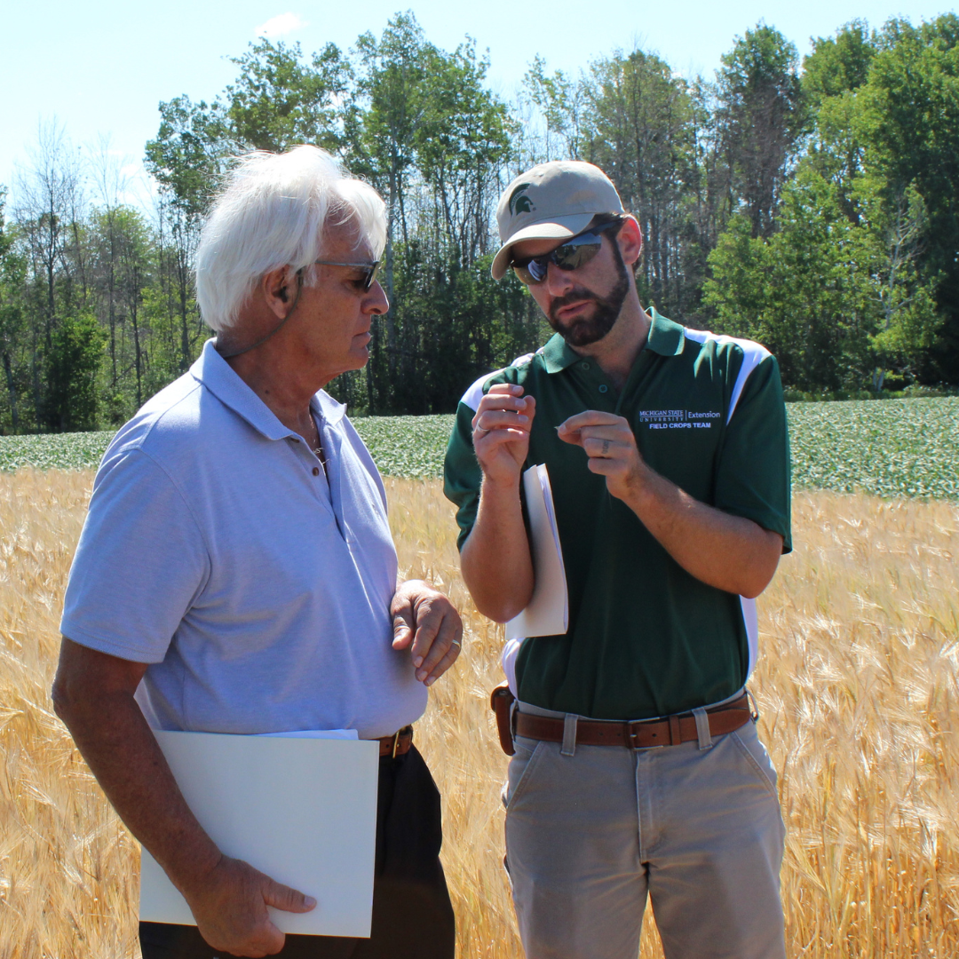 Photograph of Dr. James DeDecker explaining principles of growing rye to a man in a rye field. 