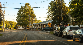 cars parked along the side of a tree-lined street