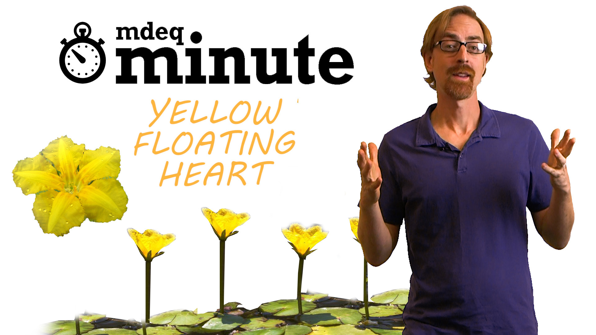 DEQ minute - yellow floating heart