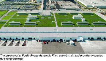 Ford Rouge green roof
