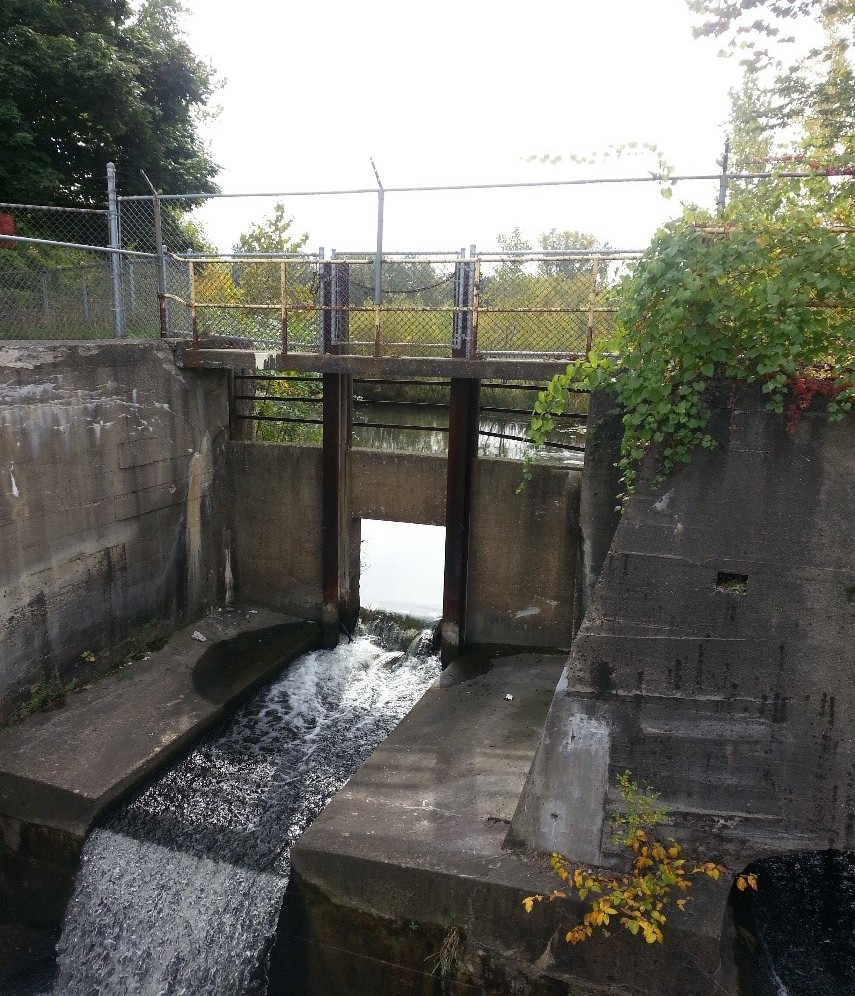 Alcott Dam Figure 1