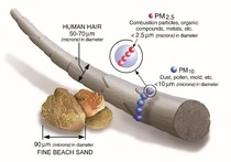 A comparison of particulate matter to a human hair and a grain of sand.