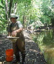 EGLE biologist sampling stream with a net
