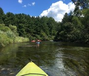 Kayak trip on Pere Marquette River where Sarah LeSage discovered the first invasive New Zealand mudsnails in a Michigan river.