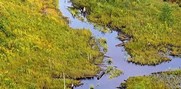 An aerial view of the headwaters of the Manistee River in the northwestern Lower Peninsula.