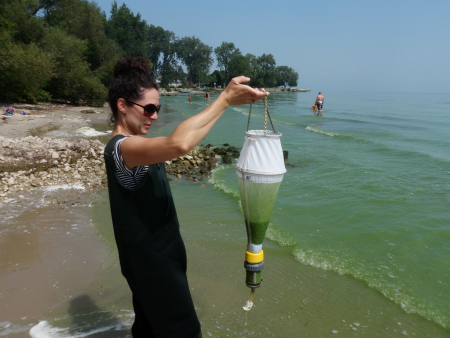 EGLE staffer conducts algae bloom sampling from Lake Erie shoreline near Stony Point. 