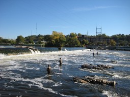 Sixth Street Dam, Grand Rapids, Mich., 2013. (Photo courtesy of Michigan Department of Natural Resources.)