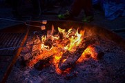 Marshmallows roasting over a campfire. 