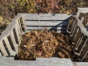 Leaves in compost bin. 