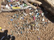 Microplastics found on a Great lakes beach. Photo courtesy of Eileen Stegemann.