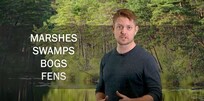 Screenshot from EGLE's new video -- Introduction to Wetlands. Ryan Blazic with text shown: Marshes, swamps, bogs, fens.