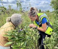 Two women in a tall-grass prairie lean in to inspect a plant.