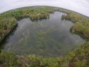 Aerial view of a Harmful Algal Bloom in a Michigan lake.