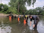 A group ? including EGLE staffers Dana Strouse and Kelsey Krupp ? look for mussels in the Plaster Creek using aqua scopes.