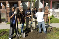 Greening of Detroit has planted more than 135,000 trees in the cities of Detroit, Hamtramck, and Highland Park. Courtesy of DNR. 