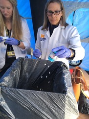 Pharmacist empties pills from bottle into a box for disposal at 2019 Take Back Day on the Michigan Capitol lawn.