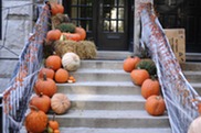 Pumpkins on a stoop. Pexels photo.