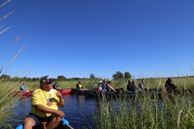 Manoomin Stewardship Plan workshop participants in canoes exploring a manoomin bed.