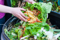 Food waste in a container.