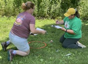 Teachers practice a field investigation during an Ecosystems and Biodiversity workshop.