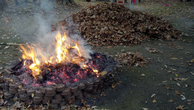 Leaves burning in a fire ring.