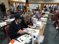 Volunteers learn how to identify aquatic plants at the annual CLMP training event. Courtesy of MiCorps.