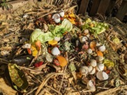 Compost bin with decomposing food scraps.  