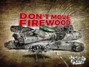 Don't Move Firewood graphic with hungry pests.