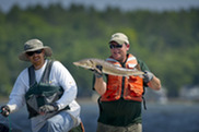 A lake sturgeon survey on Black Lake in Cheboygan County comes up with a specimen. Courtesy of Michigan DNR.