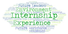 Internship Word Cloud