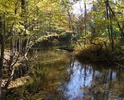 Prairieville Creek flowing through land protected by the James Conservation Easement. Courtesy of James Conservation Easement. 