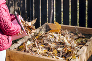 A child places a bucket of leaves into a compost bin.