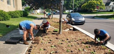 students planting flower plugs along a sidewalk